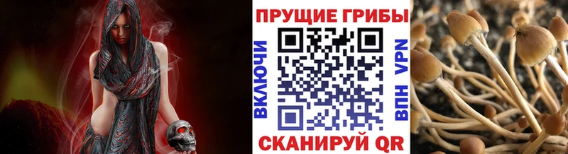 Галлюциногенные грибы ЛСД  Стрежевой 